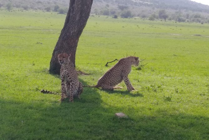 Nairobi National park - Key Points