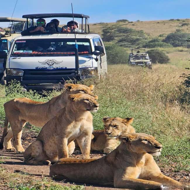 Nairobi National Park 5-hour Guided Game Drive Free Pick Up - Key Points