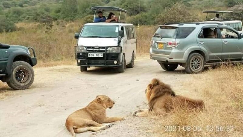 Nairobi national park and elephant orphanage - Authentic Experiences and Real Insights from Reviews