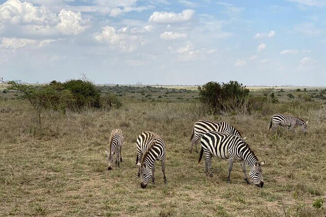 Nairobi national park and Giraffe center - The Sum Up