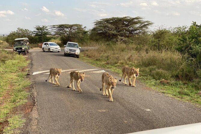 Nairobi national park and Giraffe center - FAQ
