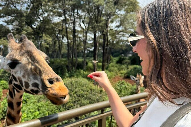 Nairobi National Park and Giraffe Center Daily Tours. - Breaking Down the Itinerary