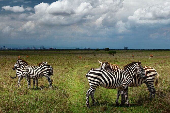 Nairobi National Park and Giraffe Center Day Tour - Key Points