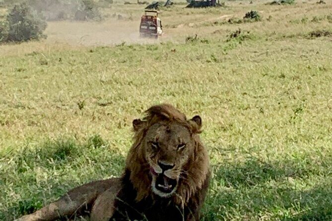 Nairobi National Park and Giraffe Center Day Tour - Final Thoughts