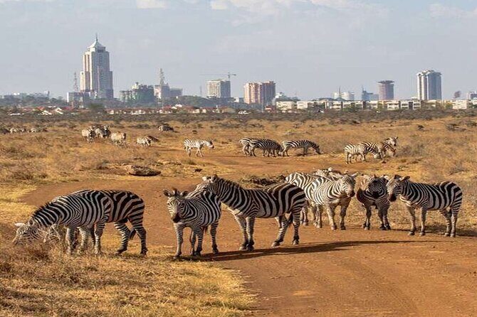 Nairobi National Park and Giraffe Center from Kenya with a Guide - Exploring the Itinerary in Detail