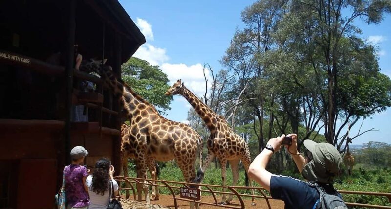 Nairobi National Park and Giraffe Center Guided Tour - Key Points