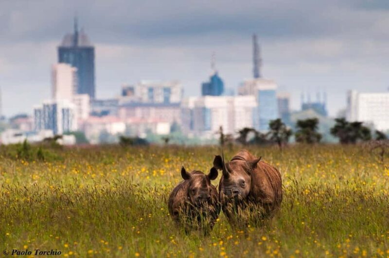 Nairobi National Park and Giraffe Center Guided Tour - FAQ
