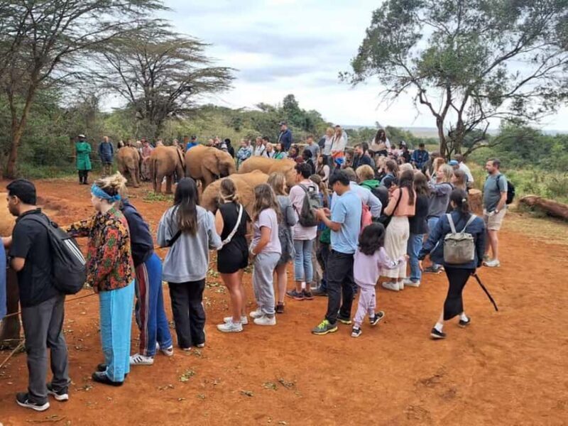 Nairobi National Park and Sheldrick Elephant Trust Day Trip - Final Thoughts