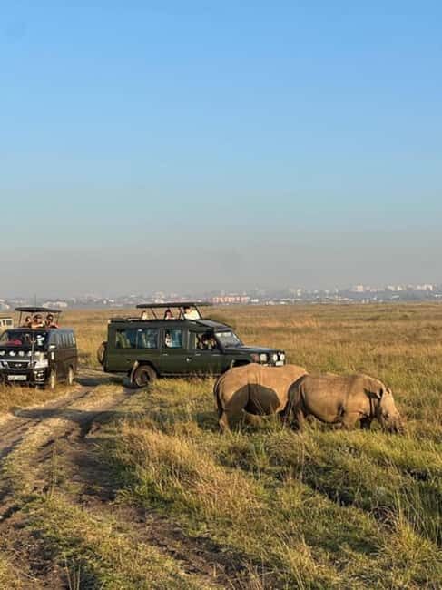 Nairobi National Park, Baby Elephant and Giraffe Centre - Detailed Review of the Tour Experience