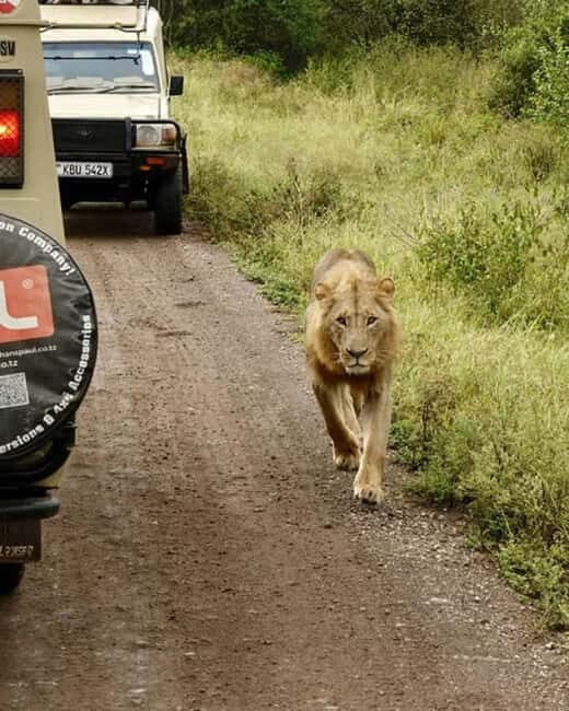 Nairobi National Park, Baby Elephant and Giraffe Centre - Price and Value Analysis