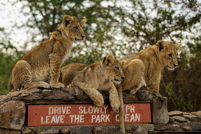 Nairobi National Park, Baby Elephant Orphanage and Giraffe Center - Why This Tour Stands Out