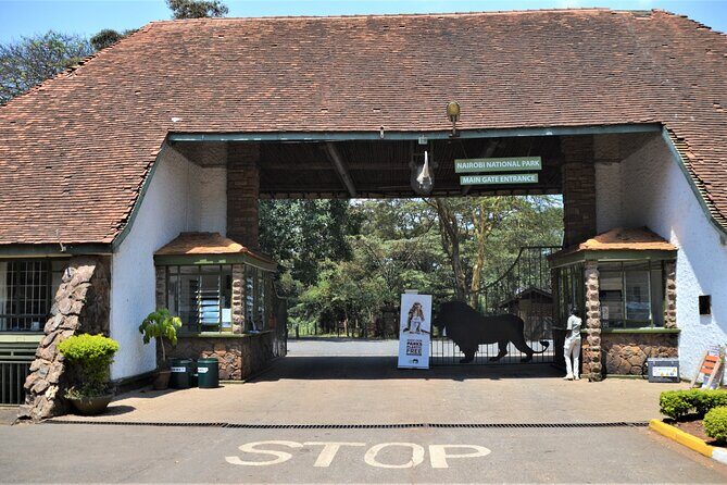 Nairobi National Park - Nairobi National Park: An Urban Safari Adventure