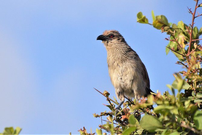 Nairobi National Park - The Sum Up