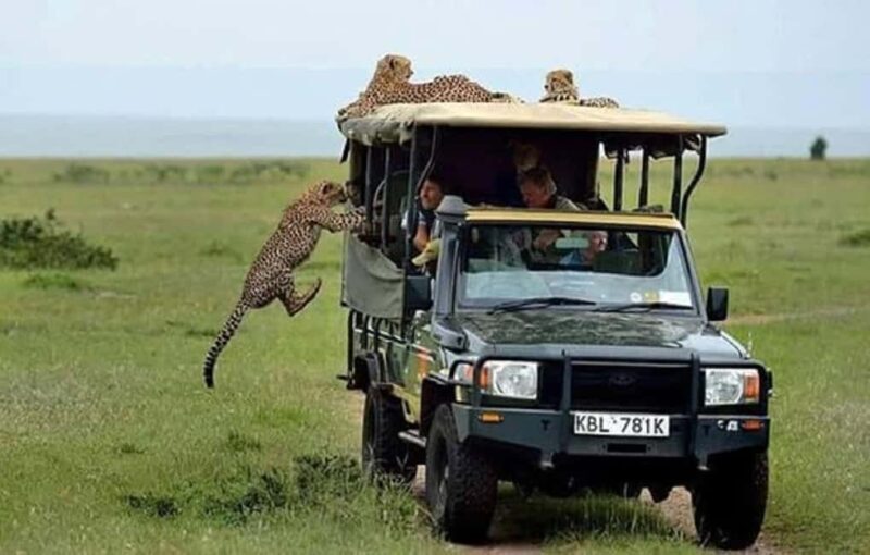 Nairobi National Park David Sheldrick Giraffe center - Key Points