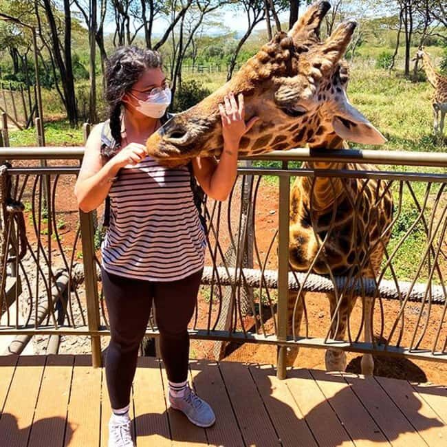 Nairobi National Park David Sheldrick Giraffe center - Is It Worth the Price?