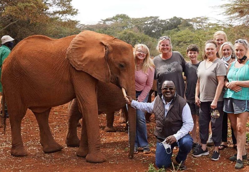 Nairobi National Park David Sheldrick Giraffe center - FAQs
