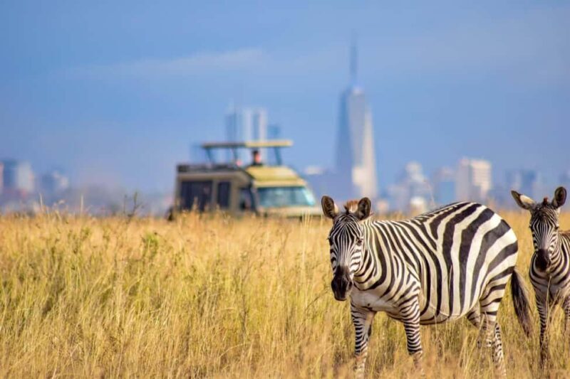Nairobi National Park Day Guided Tour - Key Points