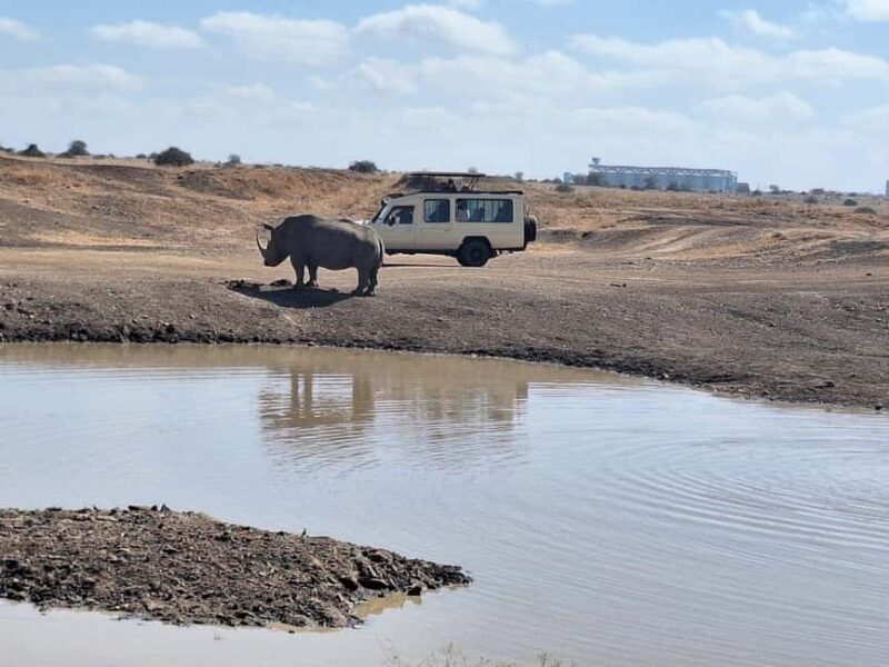 Nairobi National Park Day Guided Tour - Final Thoughts