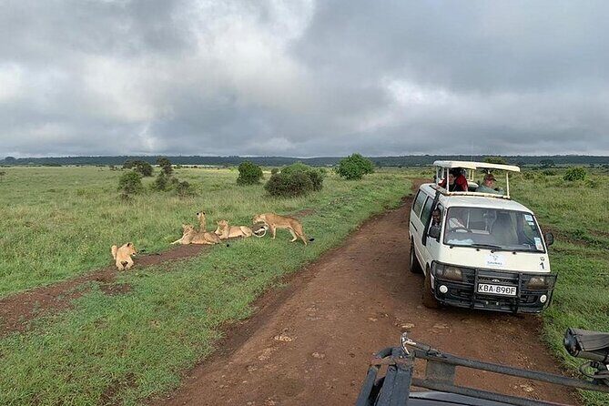 Nairobi national park Elephant orphanage and giraffe center tour. - Key Points