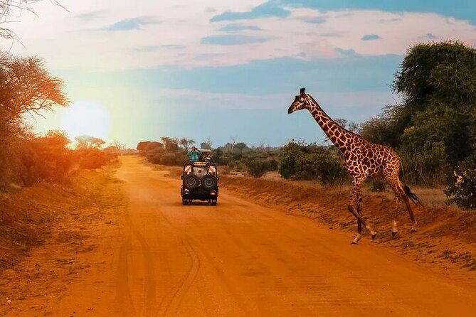 Nairobi national park Elephant orphanage and giraffe center tour. - Value and Pricing Analysis