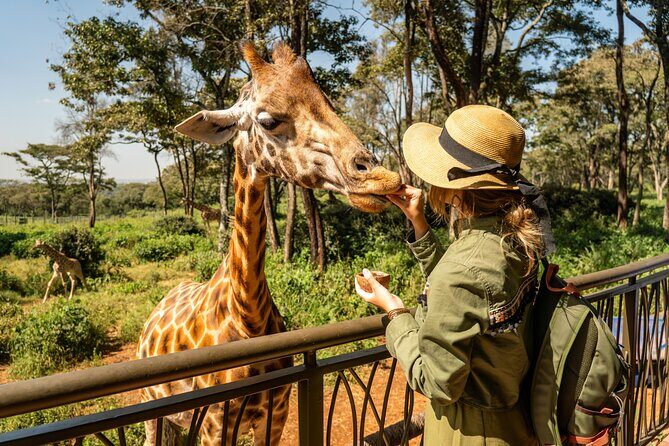 Nairobi National Park, Elephant Orphanage and Giraffe Centre - Key Points