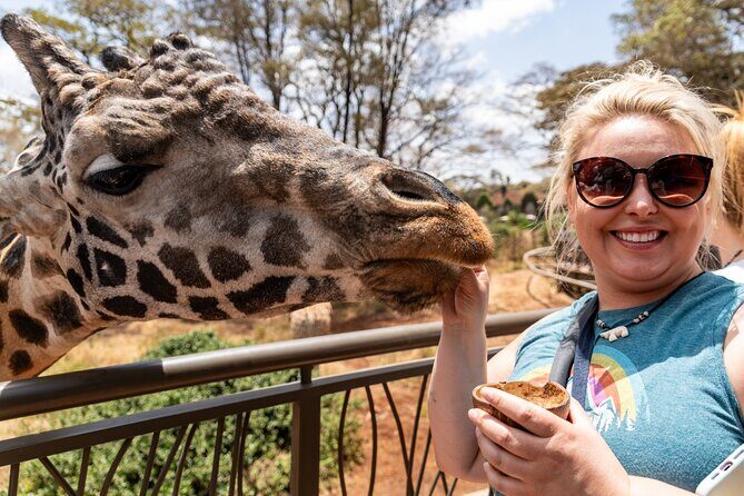 Nairobi National Park, Elephant Orphanage and Giraffe Centre - The Sum Up