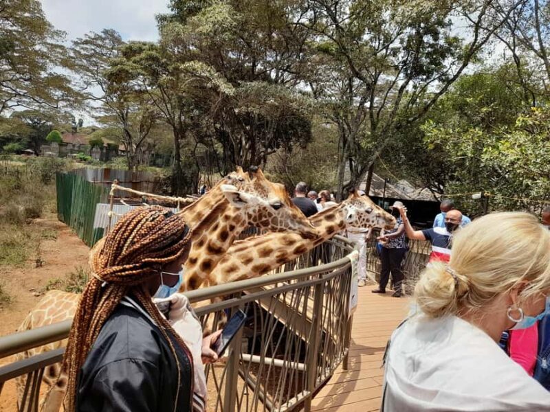 Nairobi: National Park, Elephant Orphanage, and Giraffe Tour - Exploring Nairobi’s Wildlife and Culture