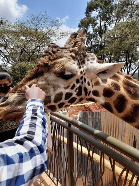 Nairobi: National Park, Elephant Orphanage, and Giraffe Tour - Review Highlights and Authentic Insights