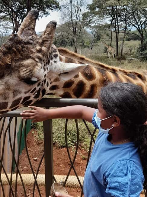 Nairobi: National Park, Elephant Orphanage, and Giraffe Tour - Final Thoughts