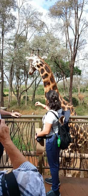 Nairobi: National Park, Elephant Orphanage, and Giraffe Tour - FAQs