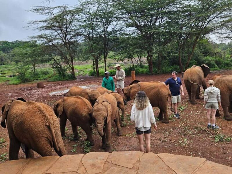 Nairobi: National Park, Elephant Orphanage & Giraffe Center - Key Points