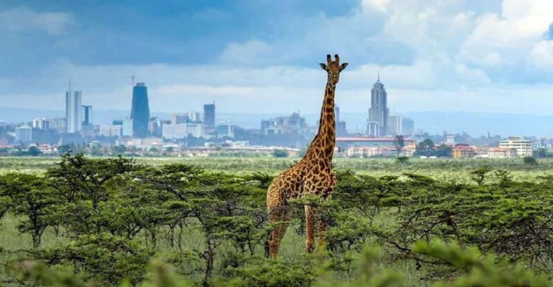 Nairobi National Park, Elephant Orphanage, & Giraffe Center - Key Points  