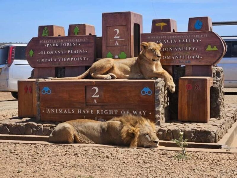 Nairobi National Park, Elephant Orphanage, & Giraffe Center - Scenic Views and Cultural Touches