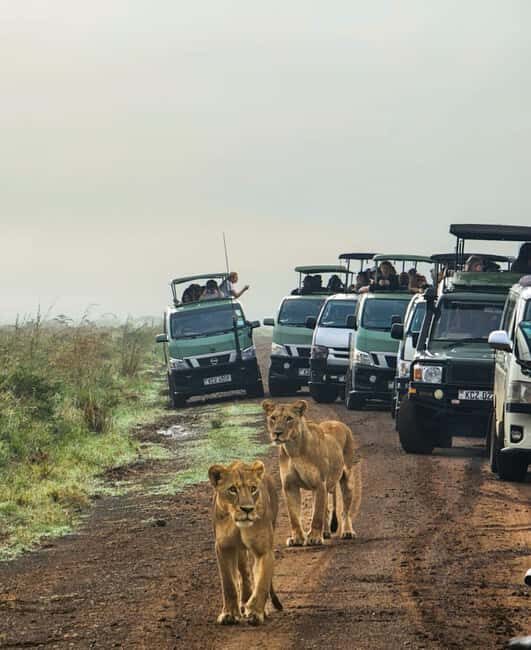 Nairobi: National Park, Elephant Orphanage, & Giraffe Center - A Detailed Look at the Itinerary