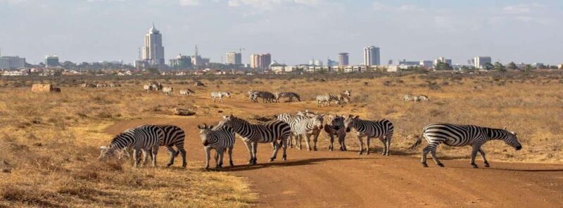 Nairobi: National Park, Elephant Orphanage & Giraffe Center - A Detailed Look at the Tour Experience