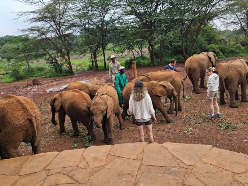 Nairobi: National Park, Elephant Orphanage & Giraffe Center - FAQ