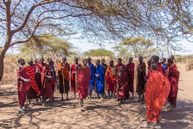 Nairobi: National Park, Elephant Orphanage, & Giraffe Center - What Travelers Say