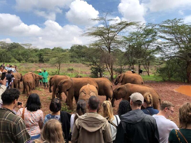 Nairobi National Park, Elephant Santuary & Giraffe center. - Practical Tips & Tricks