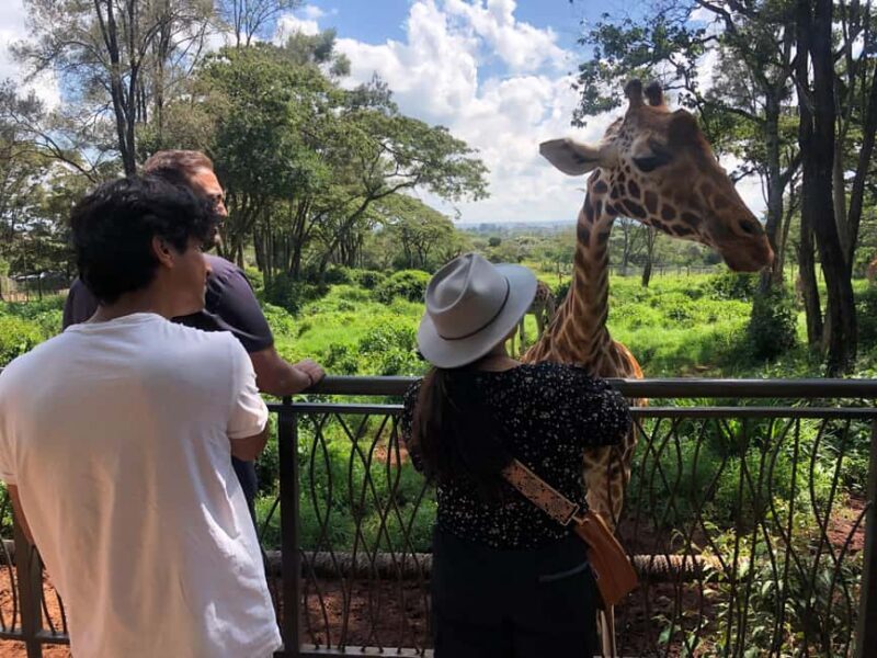 Nairobi National Park, Elephant Santuary & Giraffe center. - Who Should Consider This Tour?