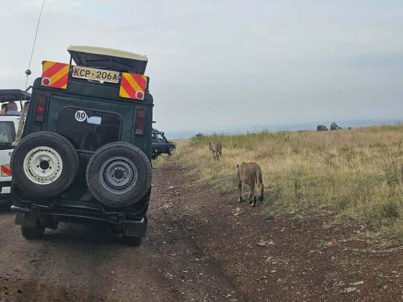 Nairobi National Park Evening Game Drive With free Pick Up - Frequently Asked Questions