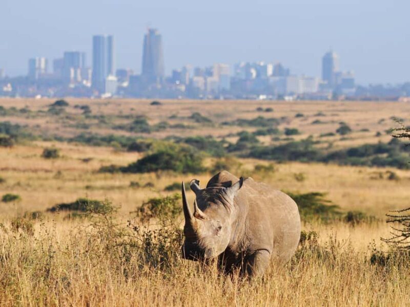 Nairobi: National Park Game Drive and Beads Center Tour - Key Points