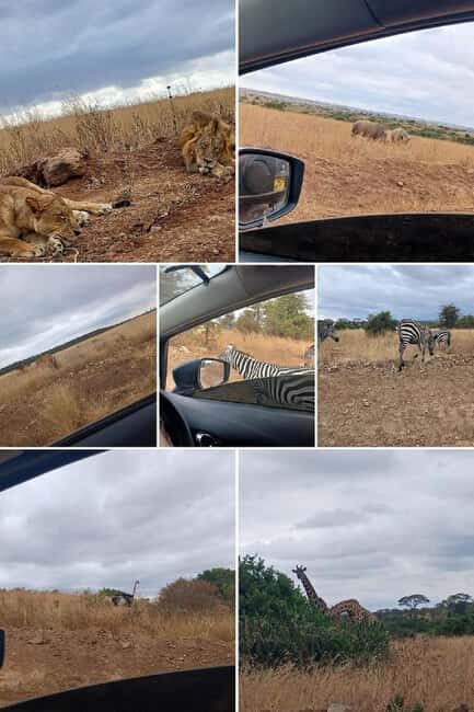 Nairobi National Park Game drive and Elephant Orphanage - Why This Tour Works