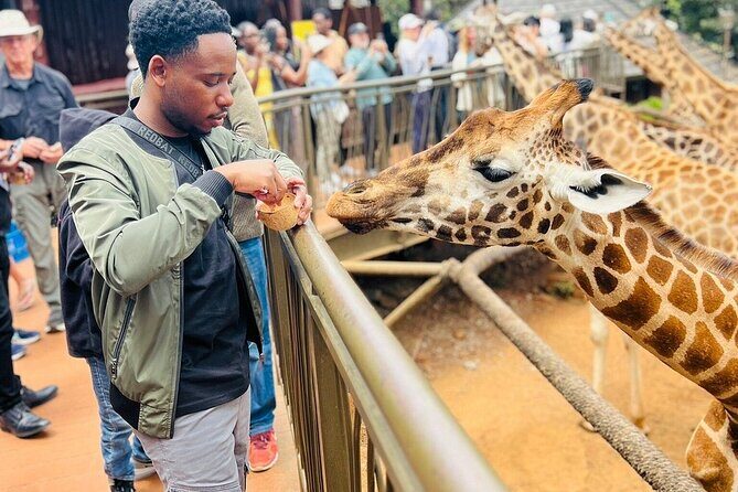 Nairobi National Park Giraffe Center Carnivore Lunch - Key Points