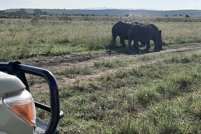 Nairobi National Park Giraffe Center Carnivore Lunch - What’s Included and What’s Not