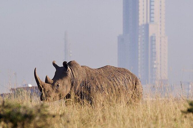 Nairobi National Park Giraffe Center Carnivore Lunch - Final Thoughts