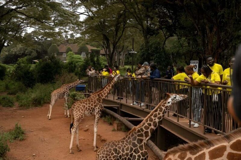 Nairobi: National Park, Giraffe Center, & Kazuri Beads Tour - Key Points