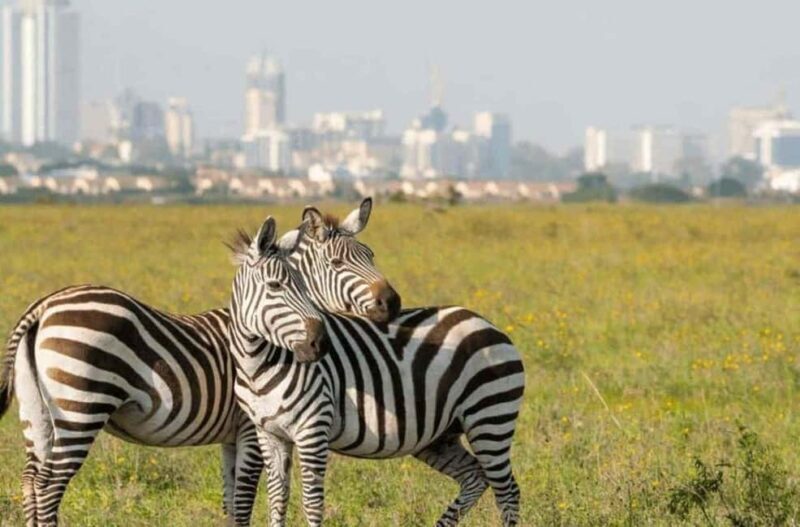 Nairobi: National Park ,Giraffe Center & Souvenir Tour - Who Will Enjoy This Tour?
