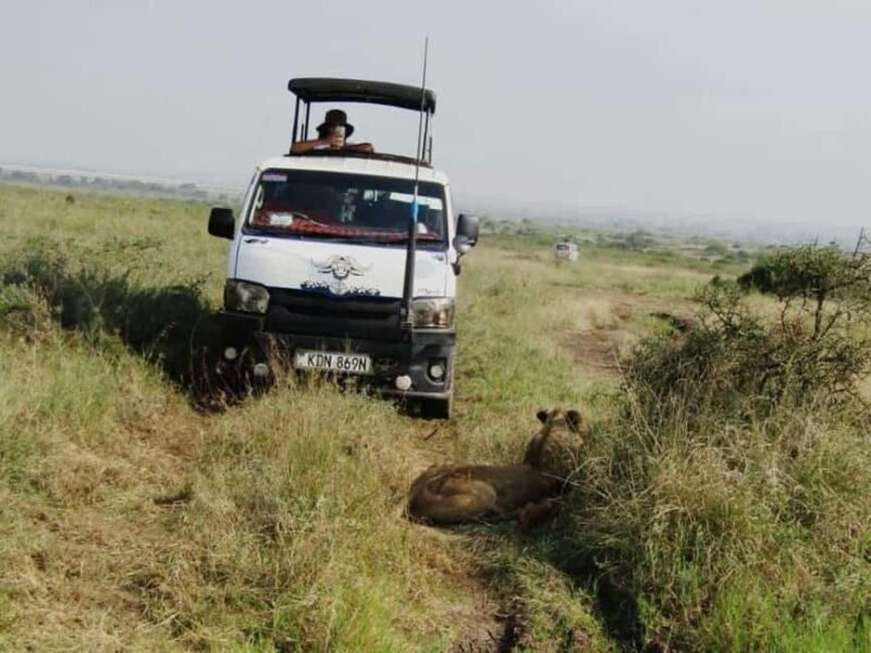 Nairobi: National Park Guided Game Drive For 5 Hours - An Introduction to the Nairobi National Park Guided Game Drive