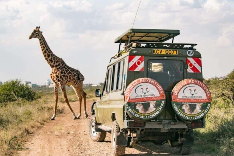 Nairobi National Park Half-Day Game Drive - What Reviewers Say