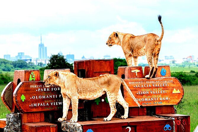 Nairobi National Park Half-day Game Drive - Frequently Asked Questions